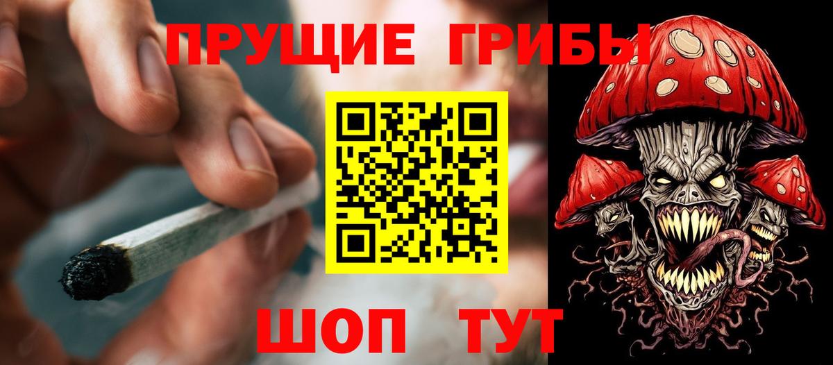Елизово  Псилоцибиновые грибы мицелий  Вход с VPN  Галлюциногенные грибы MAGIC MUSHROOMS 